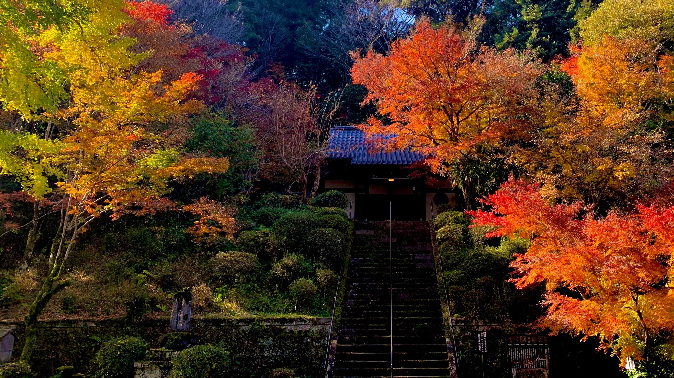 時を旅する錦町 【公式】熊本県球磨郡錦町錦まち観光協会